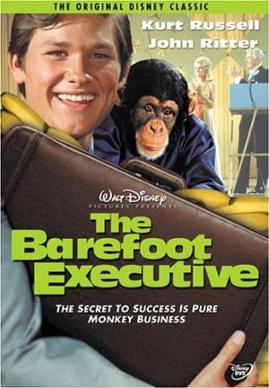 The Barefoot Executive