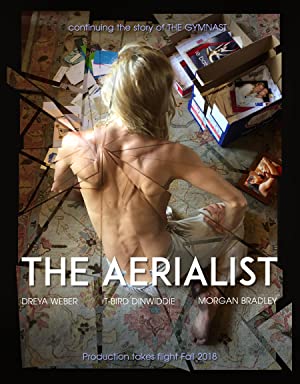 The Aerialist