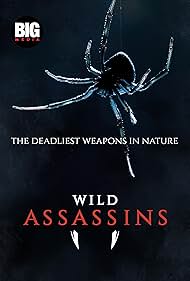 Wild Assassins