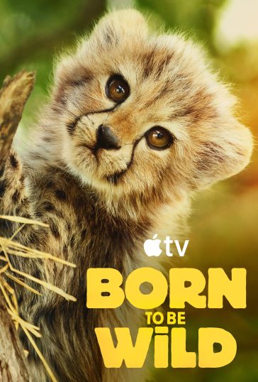 Born to be Wild