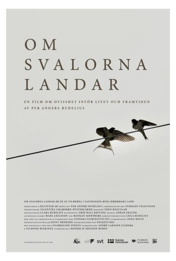 Om svalorna landar