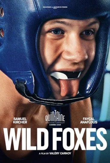 Wild Foxes